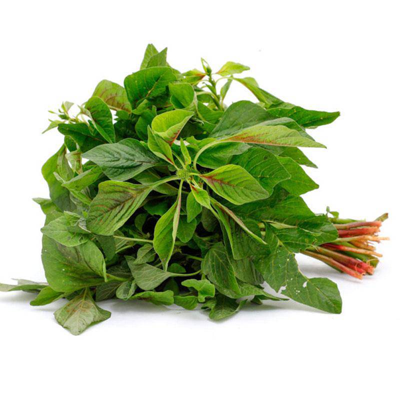 Green Amaranthus Seeds