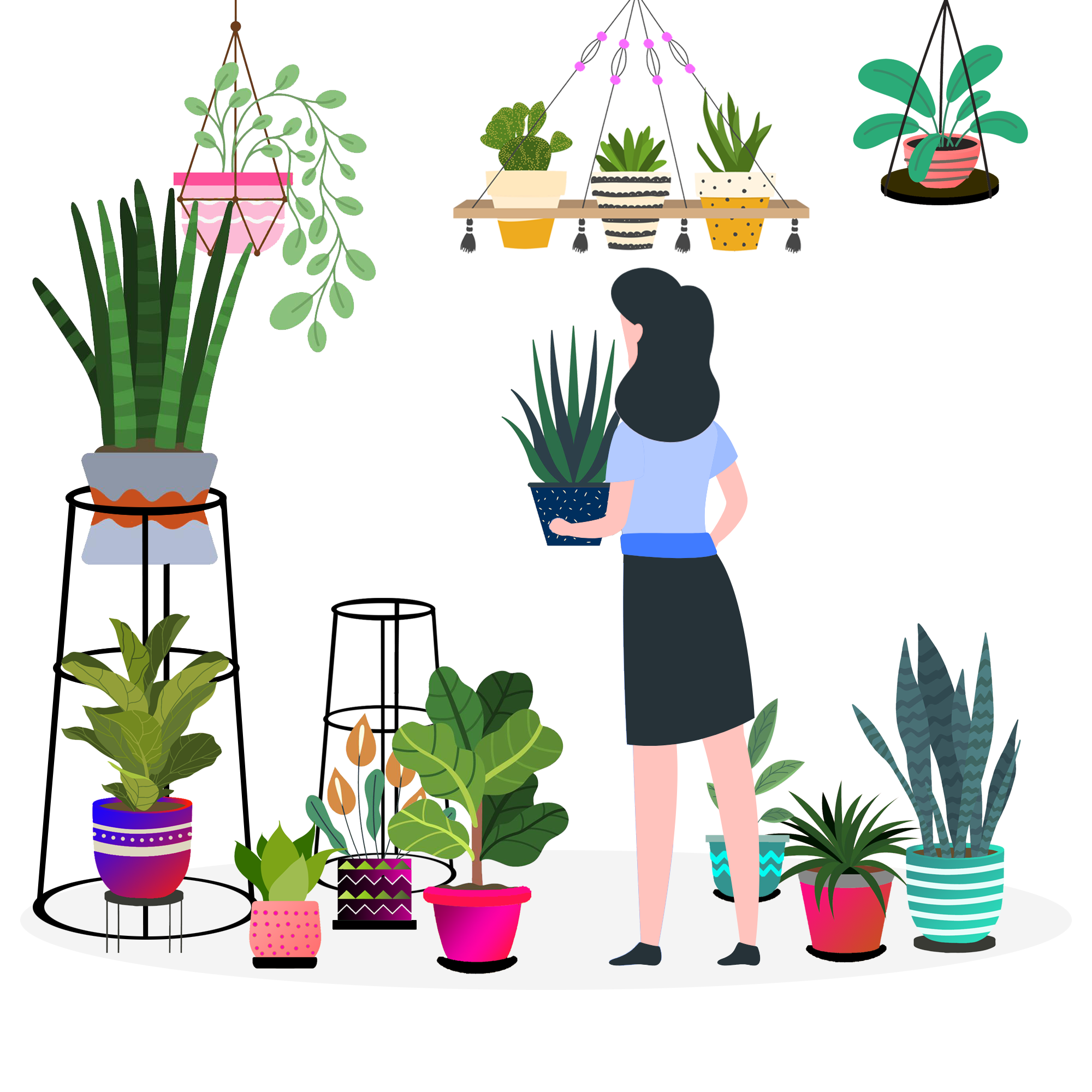 Plants illustration